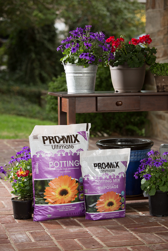 May is the Month for Container Gardening